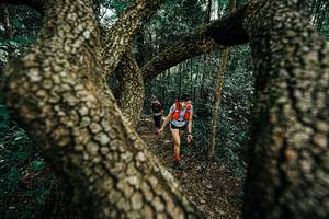 BIB: 
                            <button type="button" onclick="openModal(25392666)" class="btn btn-primary btn-sm float-right btn-popup" data-toggle="modal" data-target=".modal-high-quality">
                        <i class="fas fa-shopping-cart"></i> Add to Cart
                    </button>
                                            <button type="button" onclick="isThisMe(25392666, true)" class="btn btn-success btn-sm float-right btn-popup btn-isme hidden" data-toggle="tooltip" data-placement="bottom" title="นี่คือรูปของคุณใช่ไหม คลิกที่นี่เพื่อเอาเข้าอัลบั้ม">
                        <i class="fas fa-plus"></i> Add to album
                    </button>
                    <button type="button" onclick="isThisMe(25392666, false)" class="btn btn-warning btn-sm float-right btn-popup btn-isnotme hidden">
                        <i class="fas fa-ban"></i> Remove from album
                    </button>